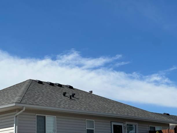 Best Emergency Roof Repair Services  in Jessup, PA