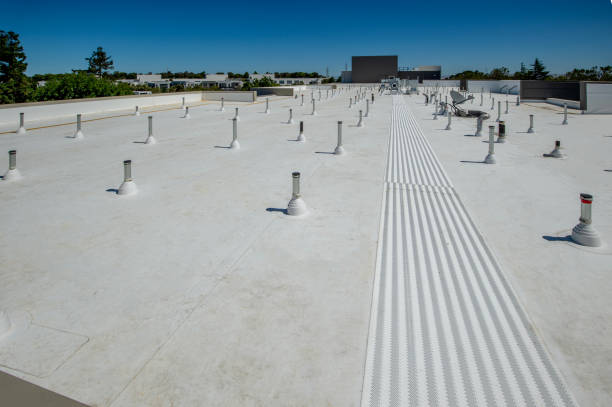 Best Roof Inspection  in Jessup, PA